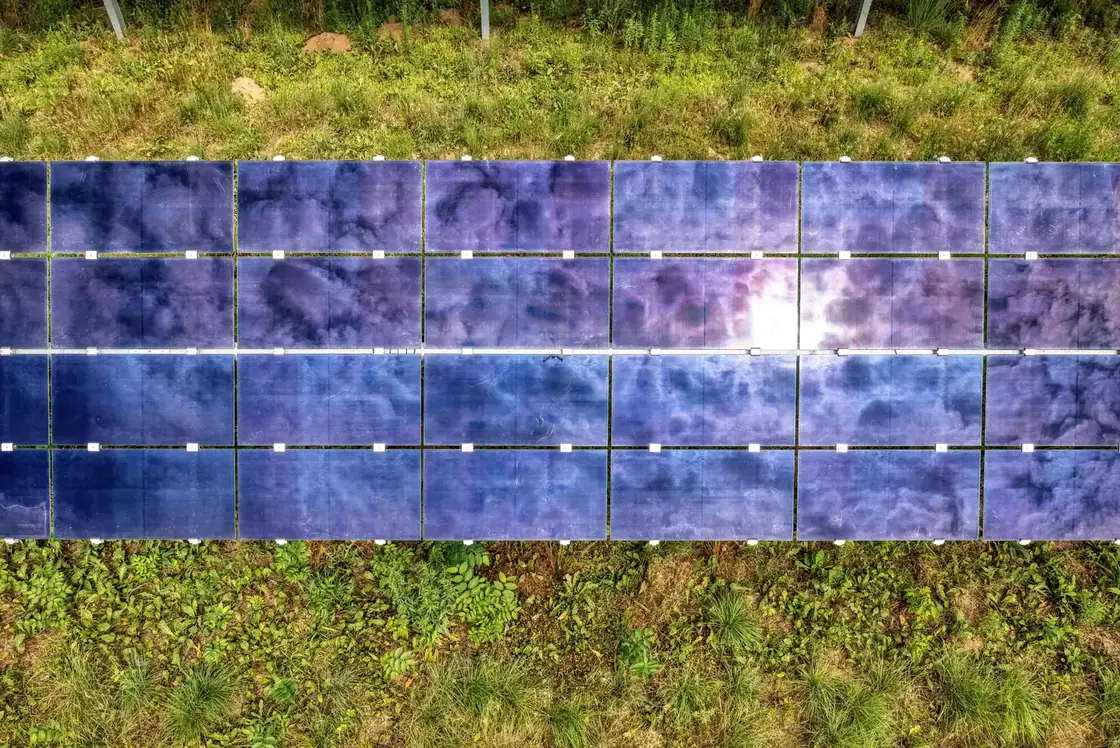 Vue aérienne de rangées de panneaux solaires posés au sol dans une prairie