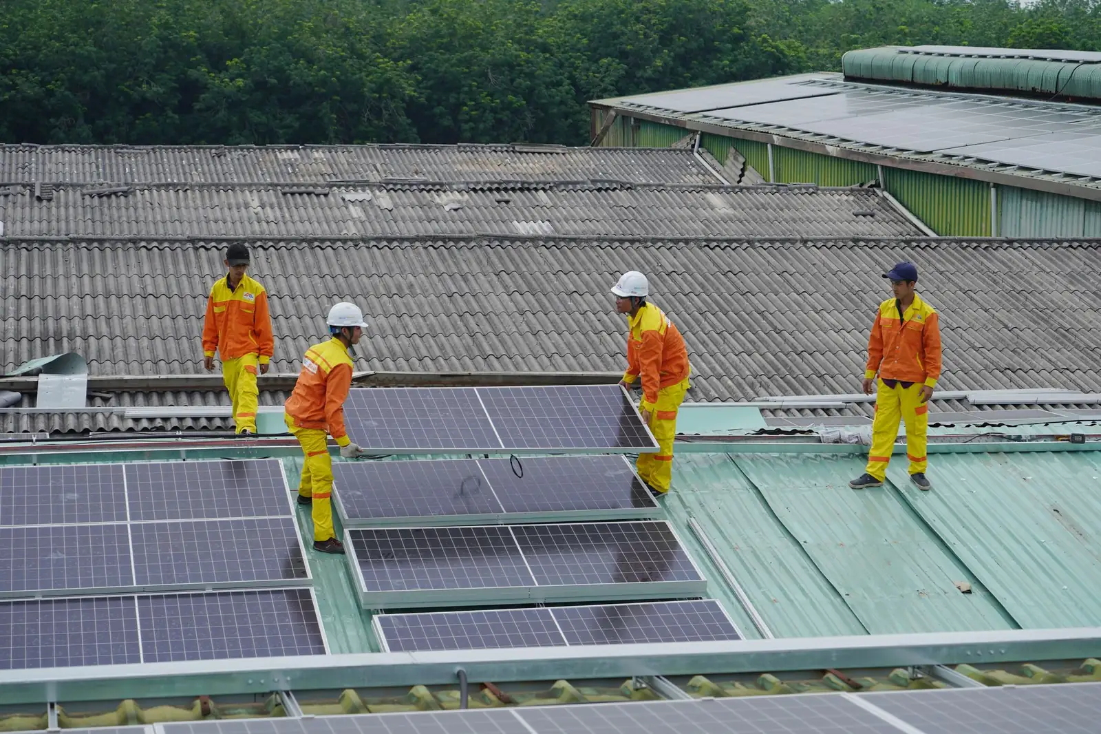 Quatre ouvriers posant des panneaux solaires sur le toit d'un hangar